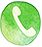 WhatsApp Genius Nanny